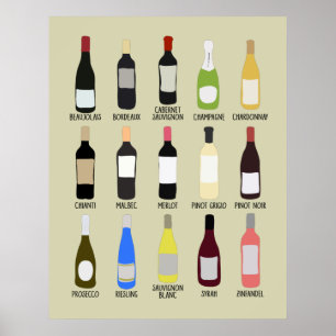 Poster Guia de identificação das variedades dos vinhos