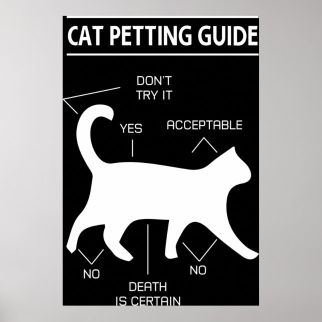 Poster Guia de preparação de gatos (Frente)