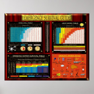 PÓSTER GUIA DE SOBREVIVÊNCIA DA EMERGÊNCIA