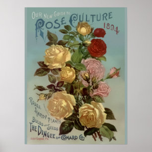 Póster Guia do vintage 1894 à cultura cor-de-rosa