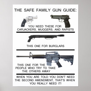 PÓSTER GUIA SEGURO DA ARMA DA FAMÍLIA