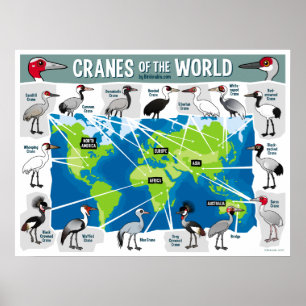 Póster Guindastes do mundo