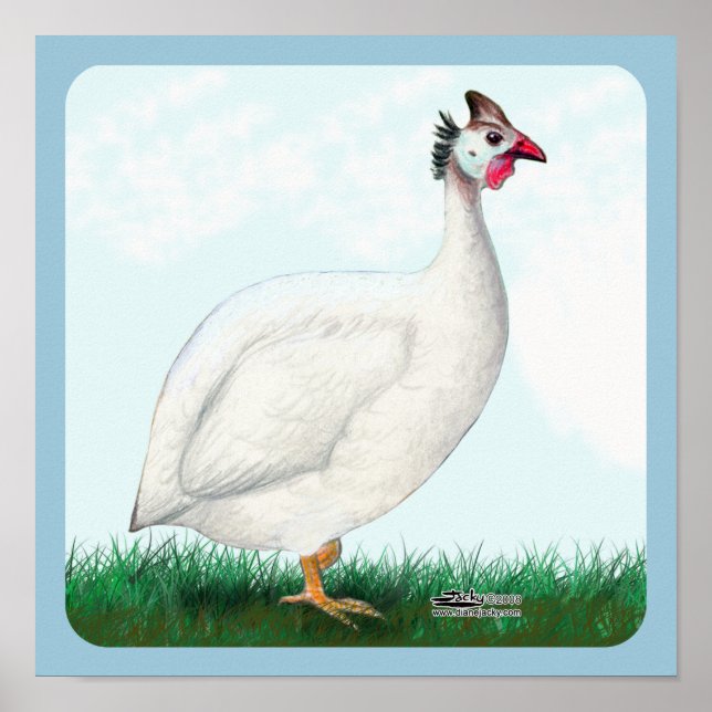 Póster Guiné Branca (Frente)