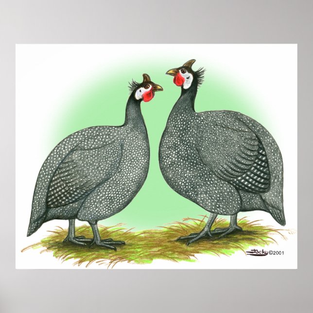 Póster Guiné: Francês (Frente)