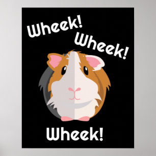 Poster Guiné Pig Love