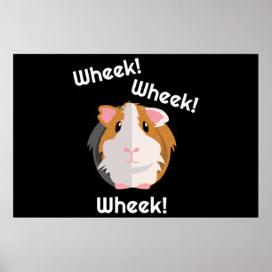 Poster Guiné Pig Love