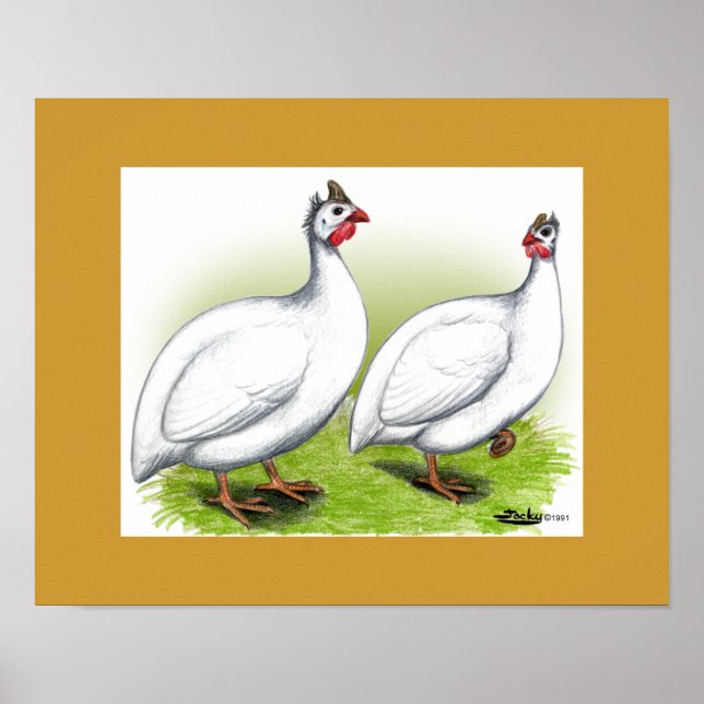 Póster Guineas: Branco (Frente)