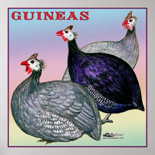 Poster Guineas Three Fowl (Frente)