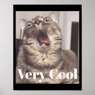 Poster Gumbus Muito Legal Meme de Gato Divertido Amantes