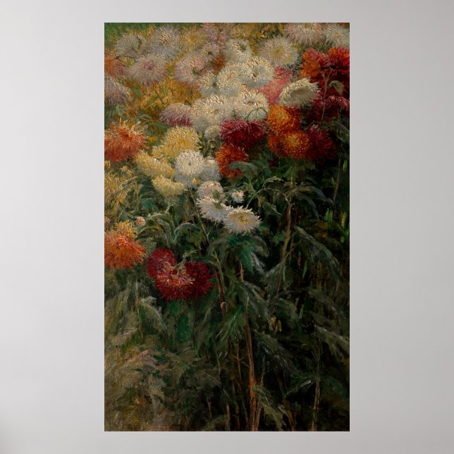 Póster Gustave Caillebotte Chrysanthemums (Frente)