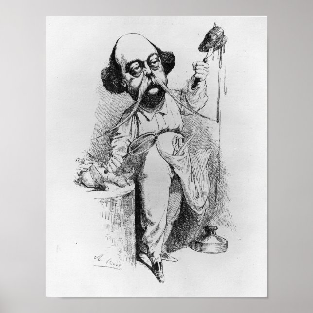 Poster Gustave Flaubert Dissecando Madame Bovary (Frente)