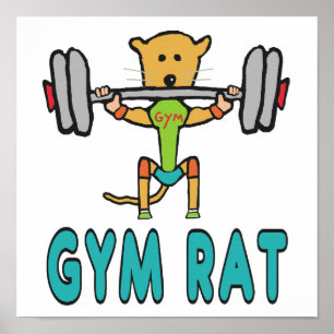 Poster Gym Rat
