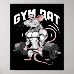 Poster Gym Rat Funny Bodybuilding Workout Malhação Gym We
