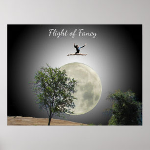Poster - Gymnasts Voo de Rico