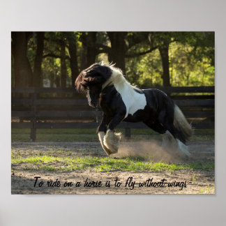 Poster Gypsy Dourado Vanner pega voo