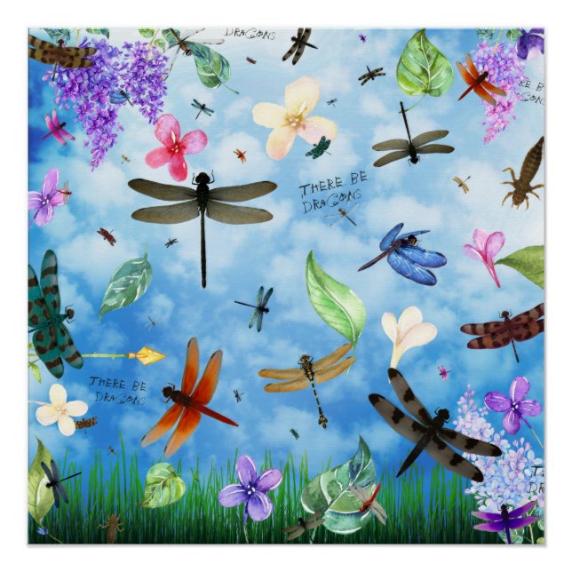 Póster Há Dragões (Frente)