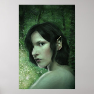 Póster Há magia na floresta