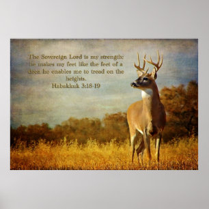 Poster Habakkuk 3:18 Inspiracional