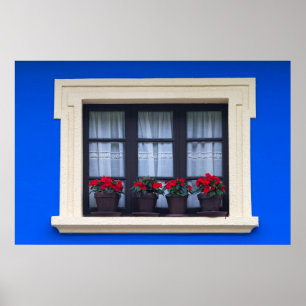 Poster Habitação residencial com flores nas janelas