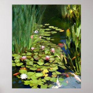 Póster Habitat do lírio de água