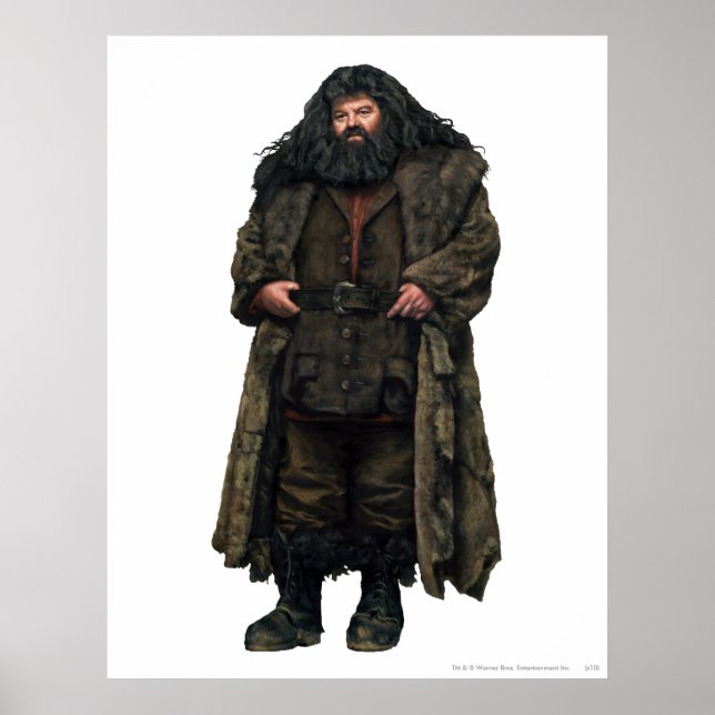 Póster Hagrid (Frente)