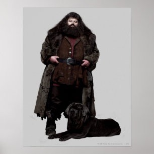 Póster Hagrid e Cão