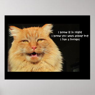Póster Haicais de fala com fome do gato