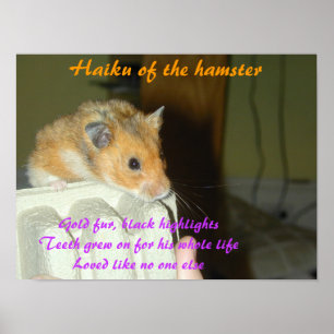 Poster Haicais do hamster 1