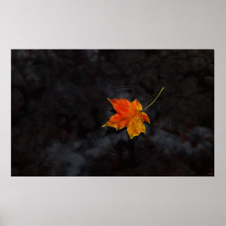 Poster Haiku