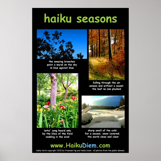 Poster Haiku Seasons (fundo negro) (Frente)