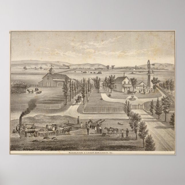 Poster Haley res, fazenda (Frente)