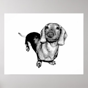 Póster Halftone Black and White Photo Dachsund Doxie