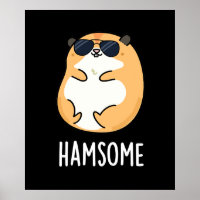Ham, um Engraçado Belo Hamster