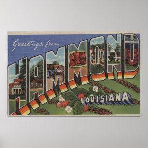 Poster Hammond, Louisiana - grandes cenas da letra