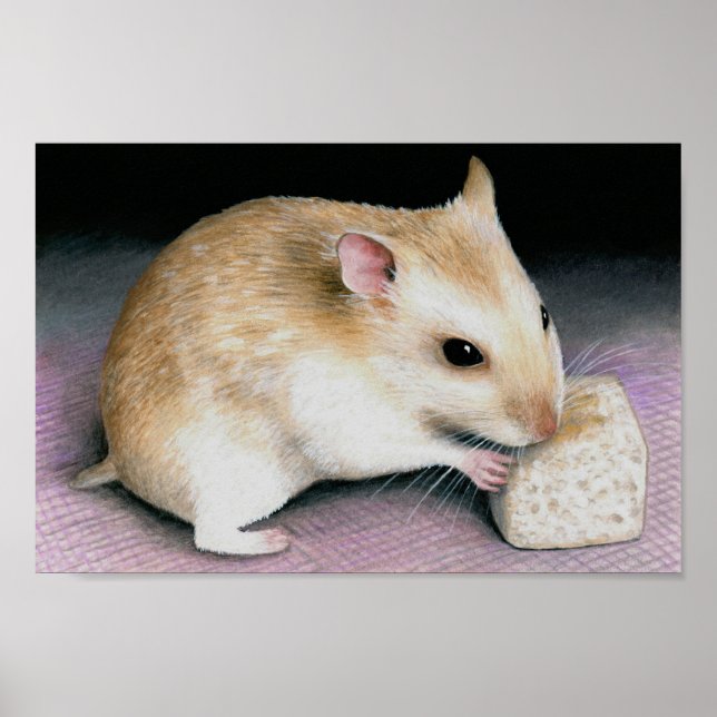 Poster Hamster Bonito 18 (Frente)