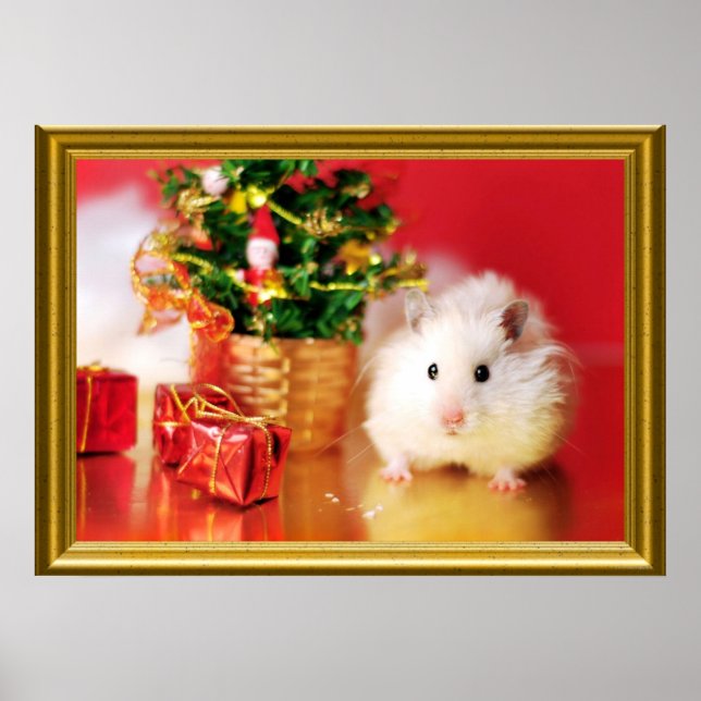 Póster Hamster Kokolinka com árvore de Natal (Frente)