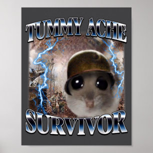 Poster Hamster Sobrevivente de Dor de Barriga Meme Piada