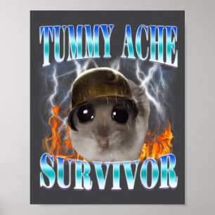 Poster Hamster Sobrevivente de Dor de Barriga Meme Piada