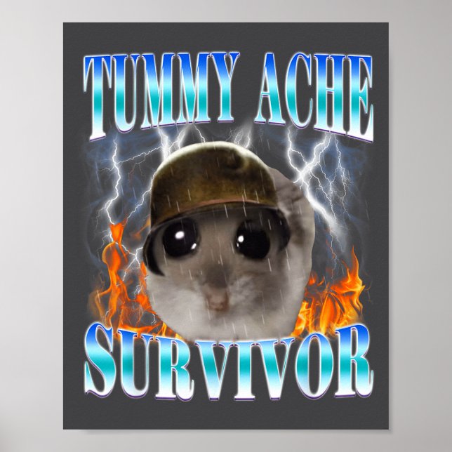 Poster Hamster Sobrevivente de Dor de Barriga Meme Piada  (Frente)