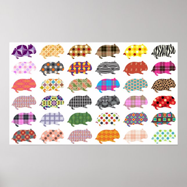 Póster Hamsterland (Frente)