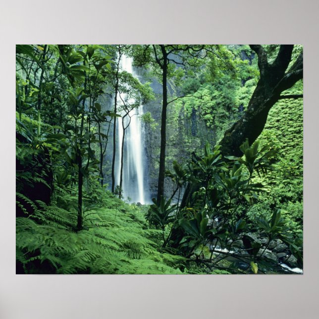 Póster Hanakapiai Falls ao longo da costa de Na Pali, Kau (Frente)