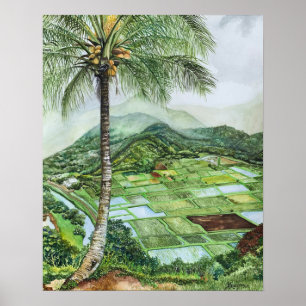 Poster Hanalei Valley 16x20M