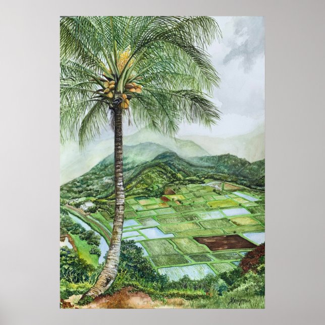 Poster Hanalei Valley Lookout (Frente)