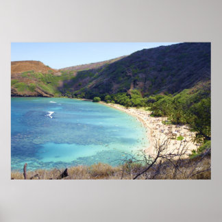 Poster Hanauma Bay