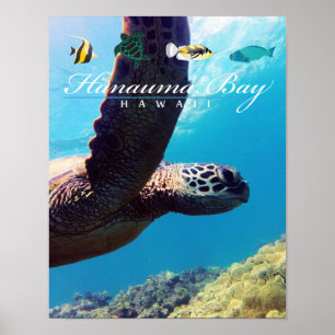 Poster Hanauma Bay Hawaii Sea Turtle