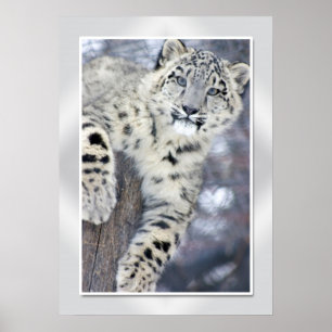 Poster Hangin em torno….(w/border)