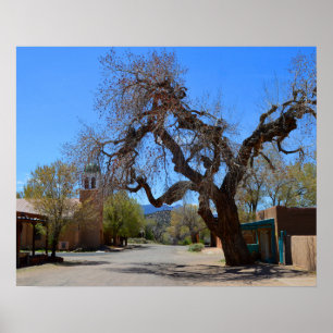 Poster Hanging Tree, Cerrillos, Novo México
