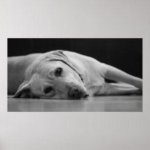 Poster Hank 'ONE' Canvas