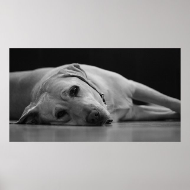 Poster Hank 'ONE' Canvas (Frente)