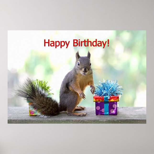 Póster Happy Birthday Squirrel (Frente)